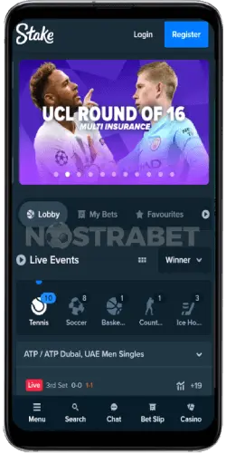 Version mobile et application Stake Casino